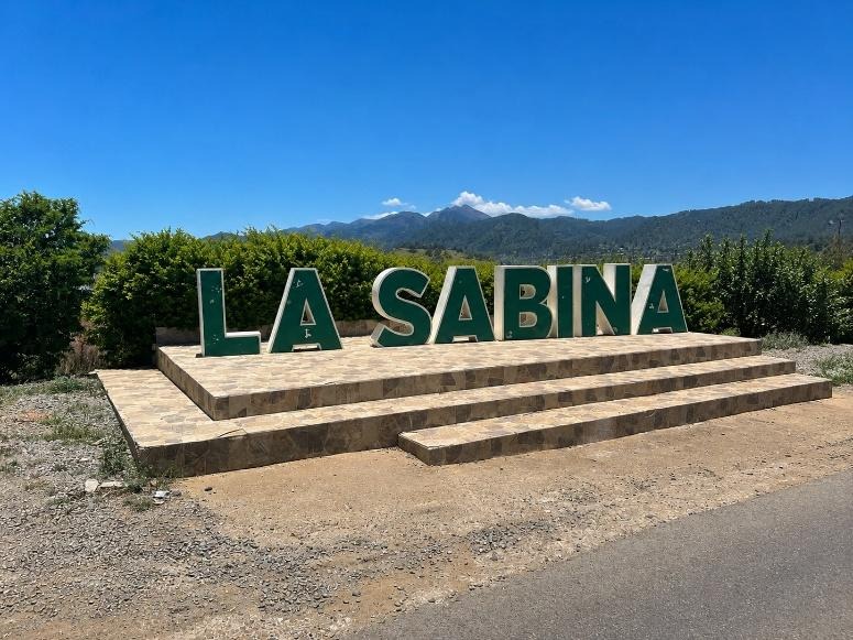 Descanso entre pinos, neblida y montañas.